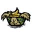 tillweed salve|Tillweed Salve .